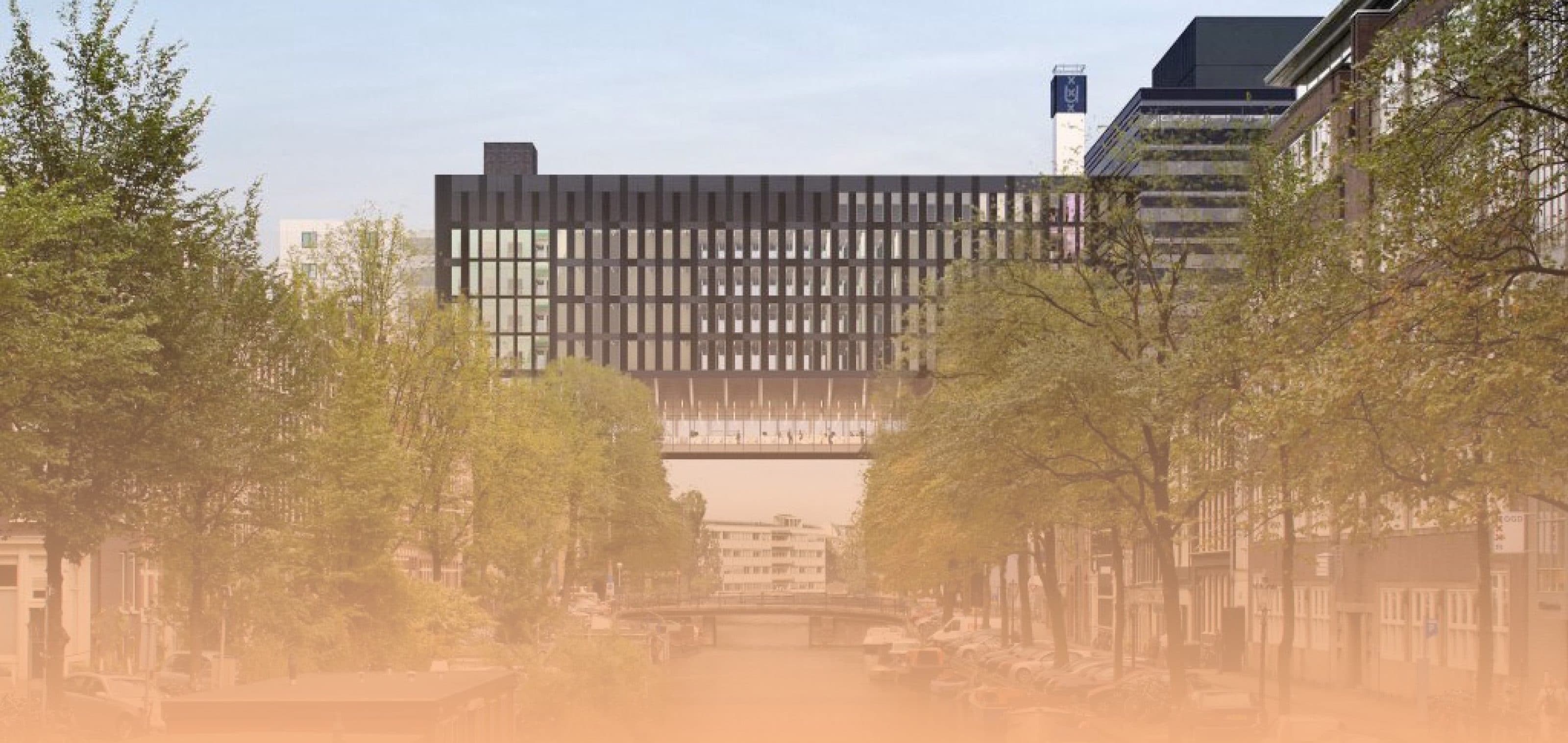 University of Amsterdam Faculty of Economics and Business